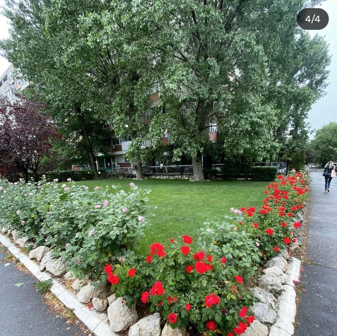 Novobeogradska Prica Apartment Luaran gambar